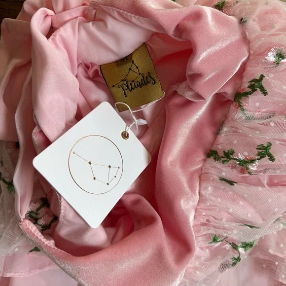 NWT Pleiades Designs Fairytale Floral Pink Kids Dress 4T